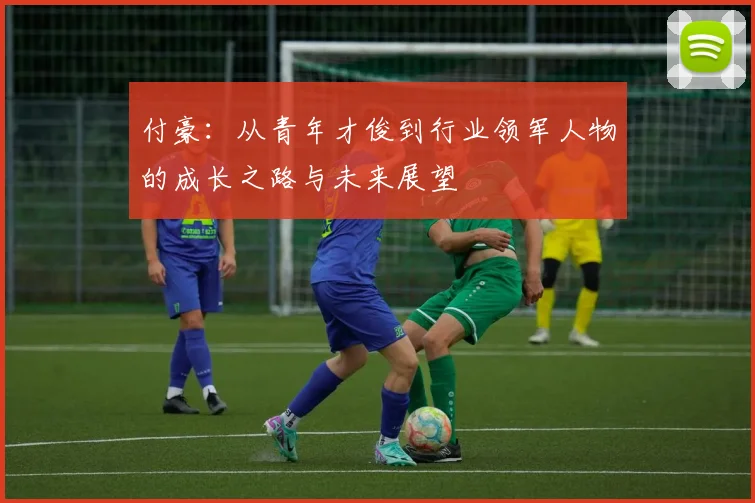 付豪：从青年才俊到行业领军人物的成长之路与未来展望