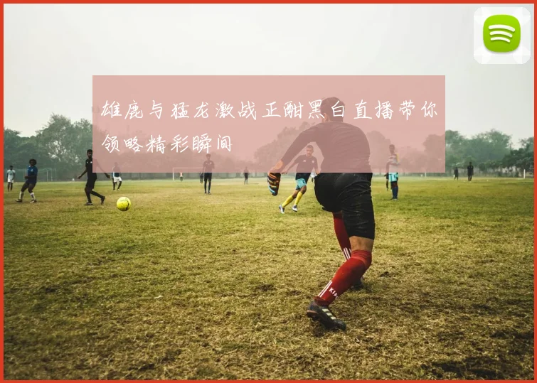 雄鹿与猛龙激战正酣黑白直播带你领略精彩瞬间